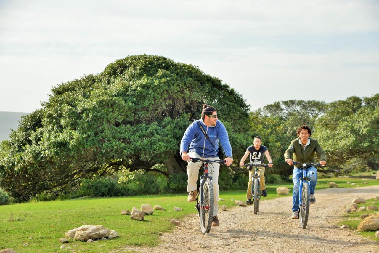 De Hoop Collection - Equipped Cottages De Hoop Nature Reserve Eksteriør bilde