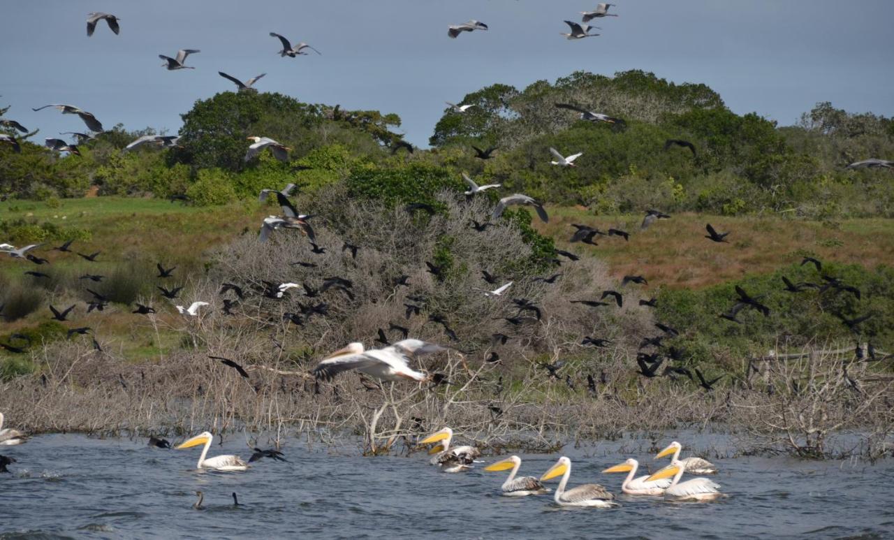 De Hoop Collection - Equipped Cottages De Hoop Nature Reserve Eksteriør bilde